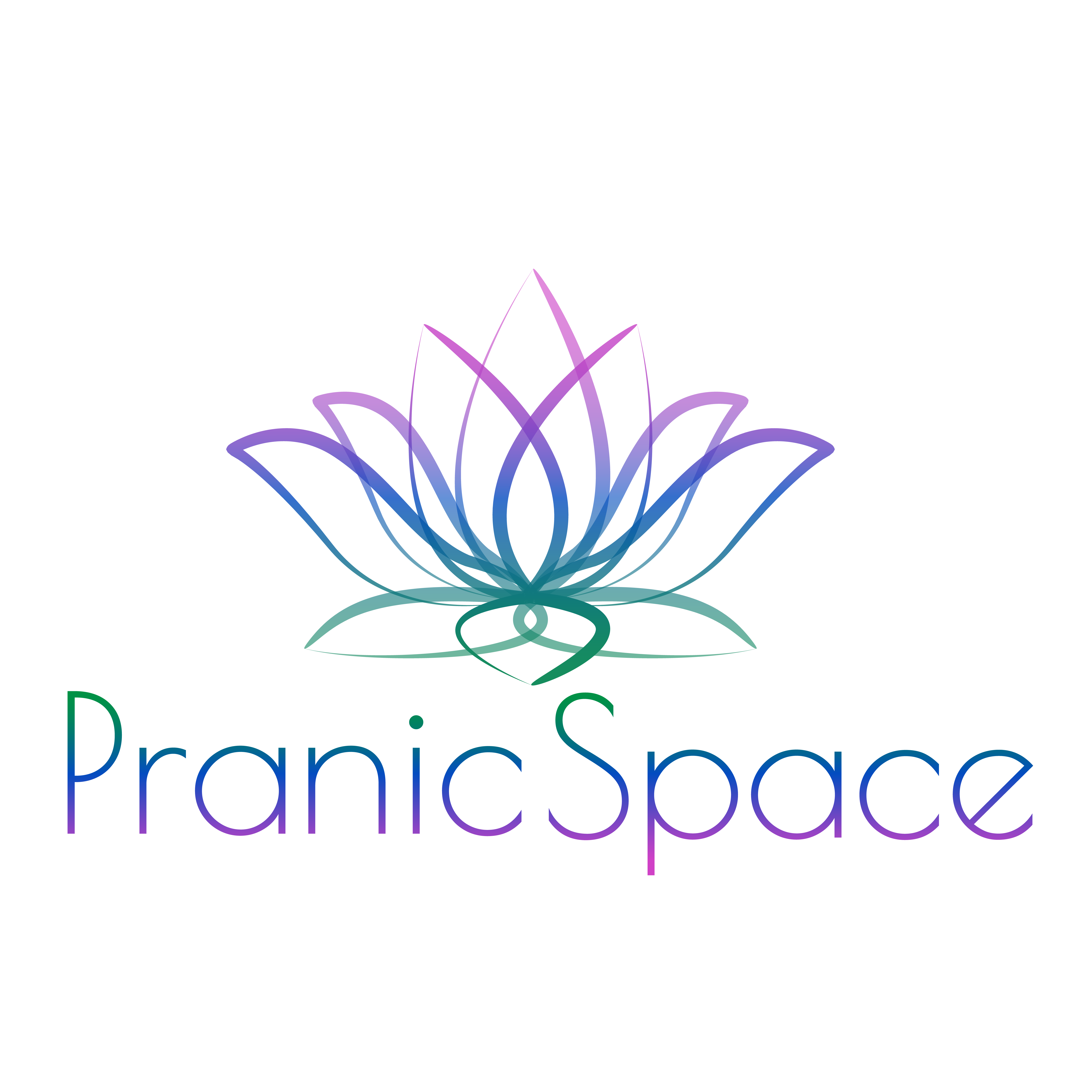 Pranic Space